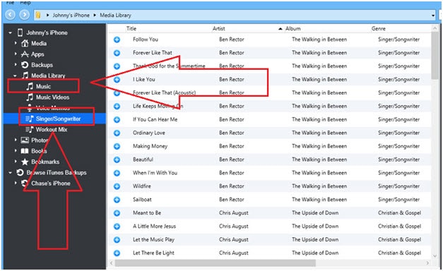 iTunes-Wiedergabelisten auf iPhone/iPad/iPod exportieren – klicken Sie auf die entsprechende Wiedergabeliste