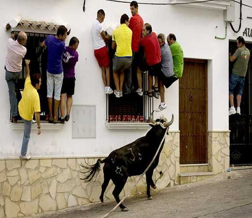 les gens et la vache