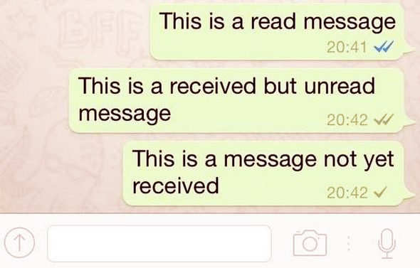القراد whatsapp
