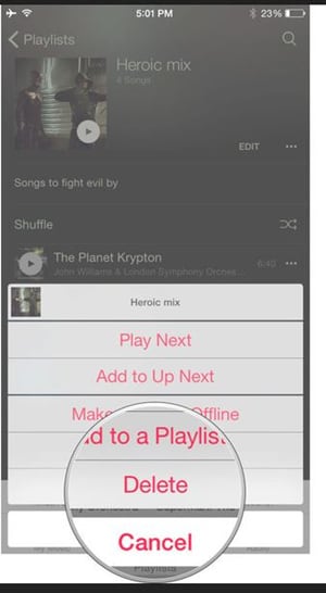 Playlist vom iPhone löschen – Tippen Sie auf die Option „Löschen“.