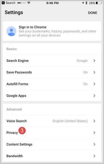 cómo borrar la configuración de caché de iPhone/ipad-pravacy