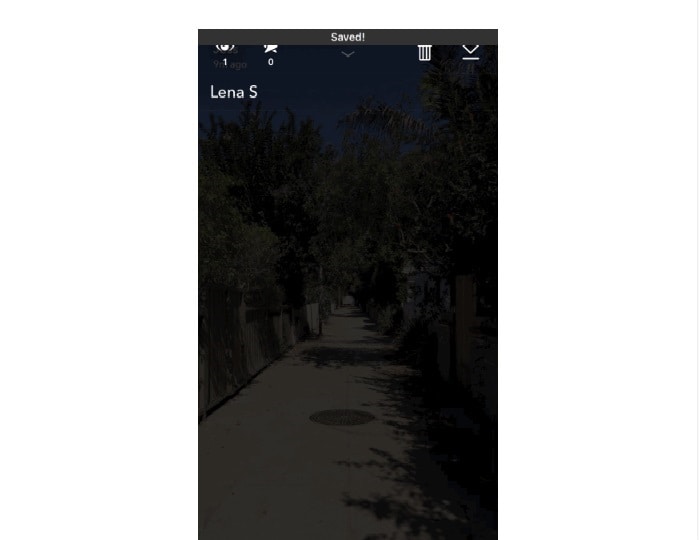 télécharger un seul snap