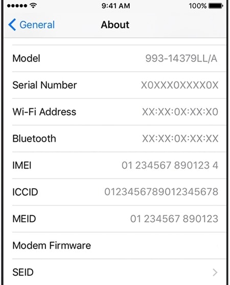 über das iPhone-Gerät