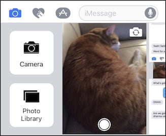 メッセージを使用してiPadに写真を送信する