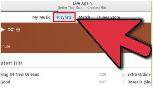 iTunes-Wiedergabeliste mit Musikdateien über iTunes exportieren – klicken Sie auf die Option „Wiedergabelisten“.