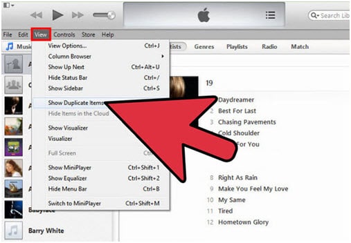 usuń zduplikowane sondy na ipod/iphone/ipad-show duplikat