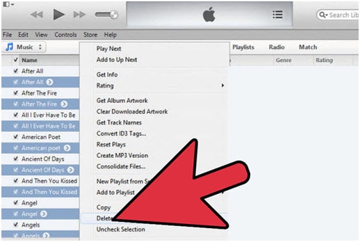 usuń zduplikowane sondy na ipod/iphone/ipad-Delete