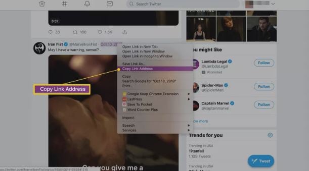 ladda ner twitter-video på datorn