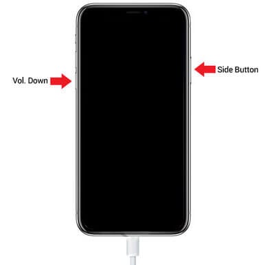 以 dfu 模式启动 iphone xs
