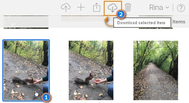 Übertragen Sie iCloud-Fotos auf Android auf dem Mac – Schritt 4