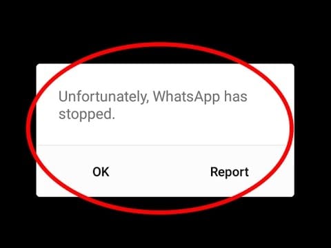 ios 12 whatsapp -ongelmat ja ratkaisut - WhatsApp kaatuu iOS 12:ssa