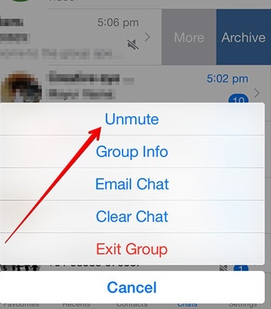 ios 12 whatsapp -ongelmat ja ratkaisut - Poista mykistys ryhmäilmoitukset