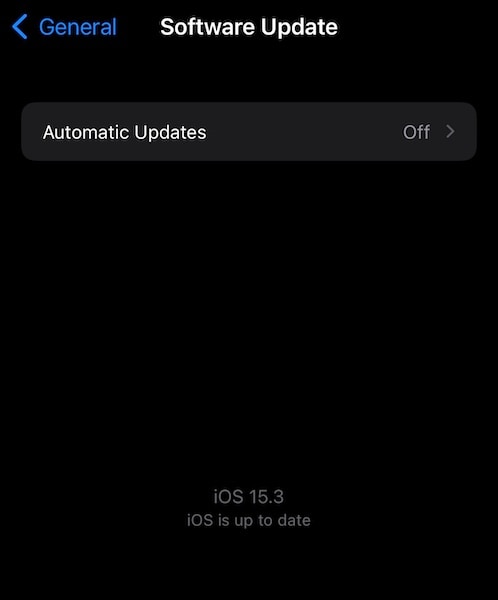 檢查 iPhone 上的軟件更新