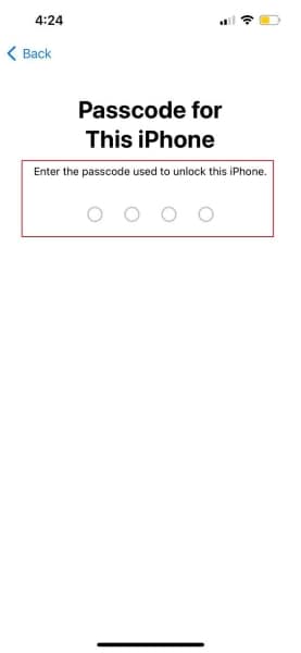 potvrďte heslo iphone