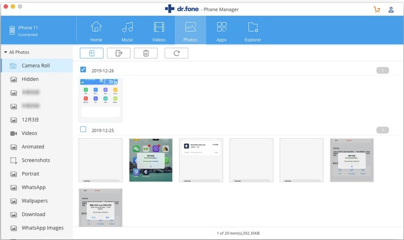 overfør bilde fra mac til ipad med DrFoneTool