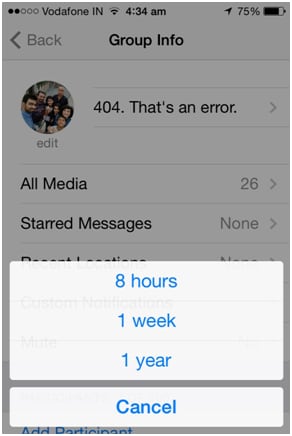 whatsapp groepstrucs