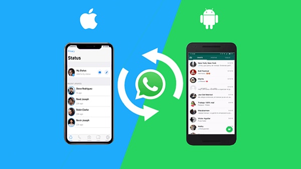 whatapp adatátvitel